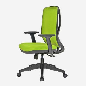 Mesh Task Chair with Height Adjustable Arms - Otto