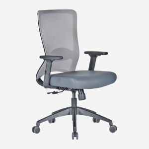 Task Chair with Adjustable Arms - Reflex