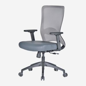 Mesh Task Chair with Adjustable Arms - Reflex