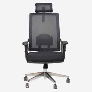 Remo Executive Mesh Office Chair with Lumbar Support