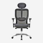 Omega Mesh Task Chair with Adjustable Arms and Headrest