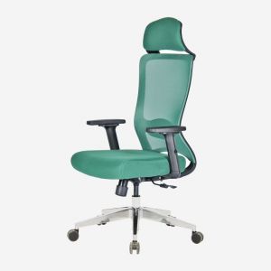 Reflex Professional Mesh Task Chair with Adjustable Arms