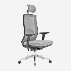 Relax Mesh Executive Chair with Adjustable Arms