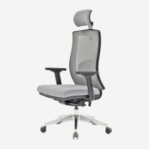 Relax Mesh Task Chair with Adjustable Arms