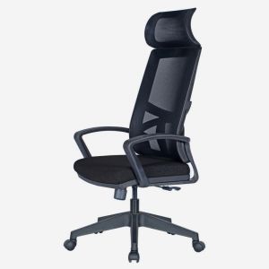 Remo Mesh Office Task Chair with Headrest