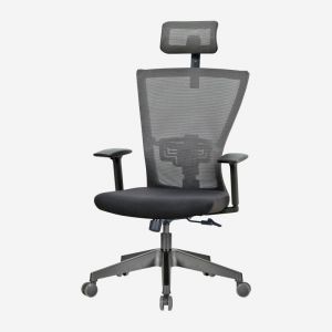 Tiffany Mesh Office Chair with Adjustable Arms and Headrest