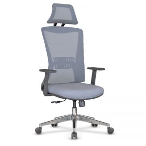 Fenix - Modern Ergonomic Task Chair with Headrest